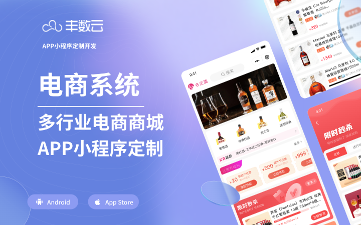 丰数网络-互联网技术专家