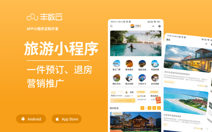 丰数网络-互联网技术专家