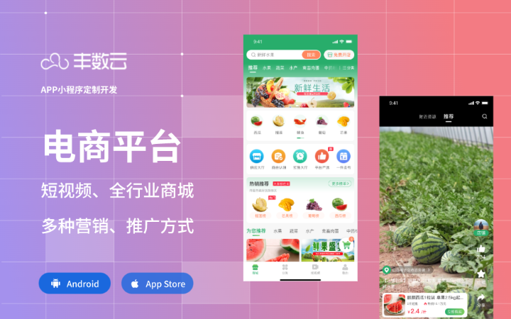 丰数网络-互联网技术专家