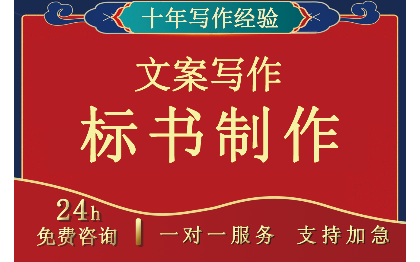 标书撰写 立项报告 可行性报告 视频文案