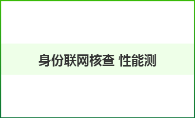 身份联网核查 性能测试报告