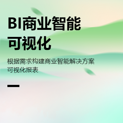 擅长BI开发及power bi开发