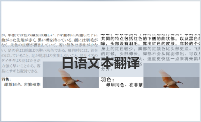 日語文本翻譯
