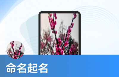 企業(yè)品牌起名命名等服務(wù)