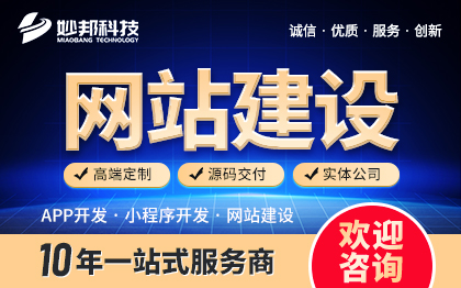 网站开发企业网站企业官网外贸网站营销网站门户网站本地生活