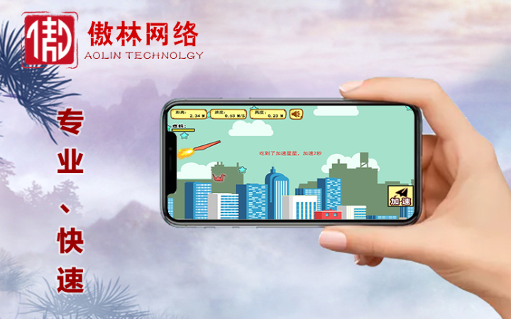 傲林網(wǎng)絡(luò)-專注各類游戲定制開發(fā)