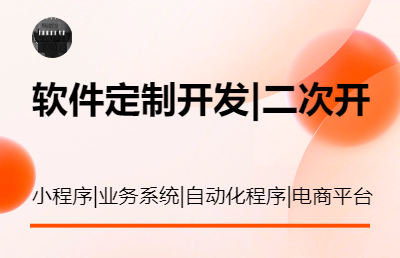 .NET/Java/程序軟件開(kāi)發(fā)