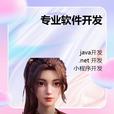 專業(yè)軟件開發(fā)，包含java,.net,小程序，桌面開發(fā)等