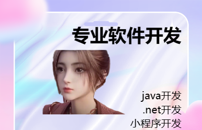 专业软件开发，包含java,.net,小程序，桌面开发等