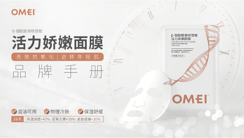 商業(yè)PPT設計制作(提供文字輸出PPT圖文)