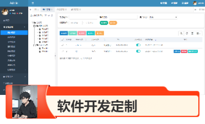 軟件開(kāi)發(fā)/程序定制/產(chǎn)品設(shè)計(jì)
