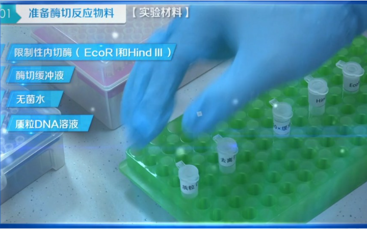 如意影視科技工作室