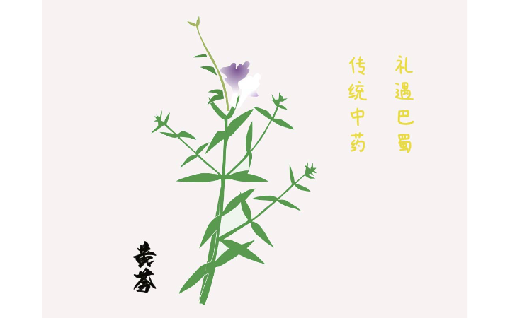 金太郎设计创意集团