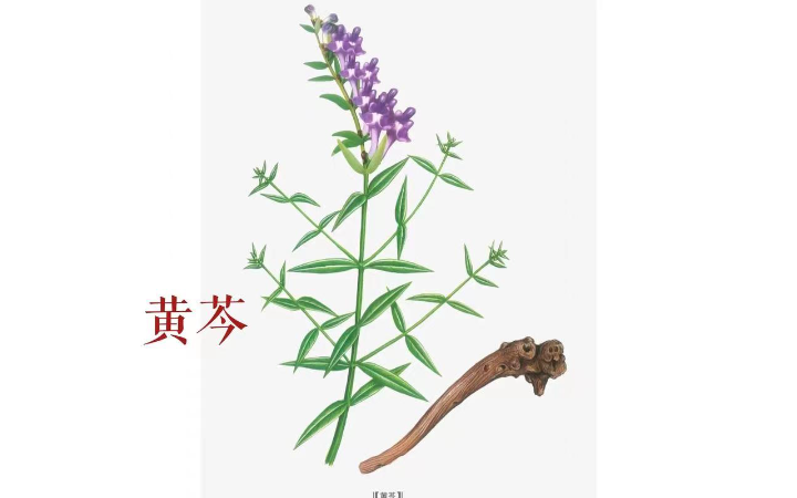 金太郎设计创意集团