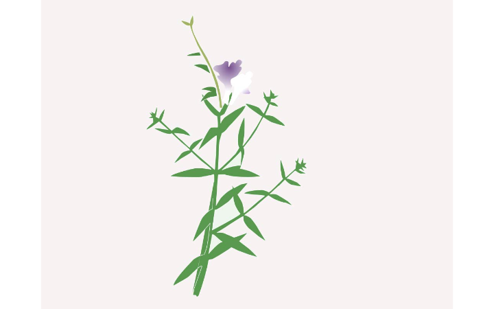 金太郎设计创意集团