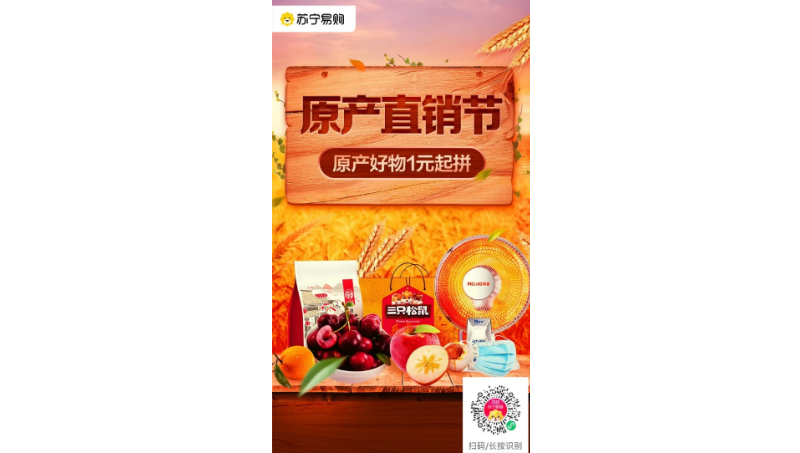 蘇寧易購特色館項目