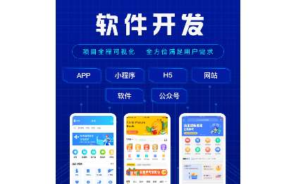 企业级网站APP软件定制开发