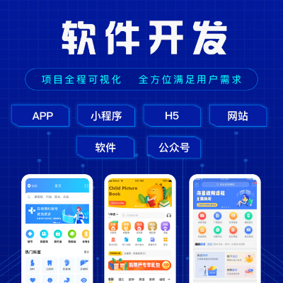 企业级网站APP软件定制开发