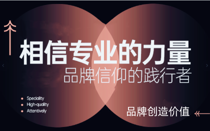 品牌全案策劃營銷產(chǎn)品策略定價(jià)企業(yè)品牌故事品牌文案廣告*