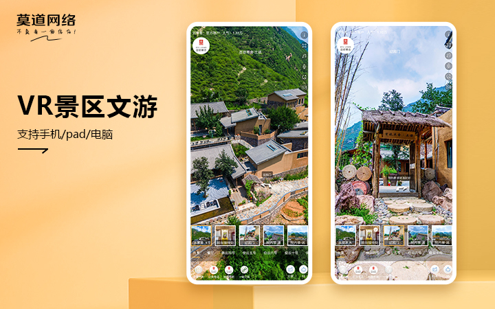莫道网络【品质老店】