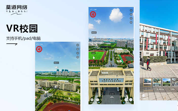 莫道网络【品质老店】