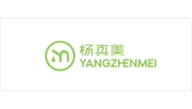 杨真美品牌<hl>LOGO设计</hl>