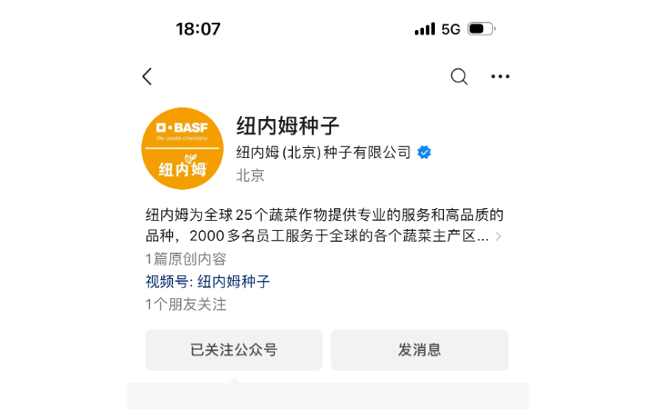 劉磊
