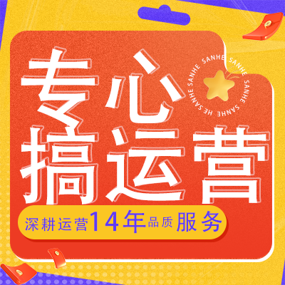 电商网店品牌主图详情页推广会员营销代运营客服外包