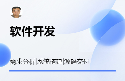 提供系统开发服务，包括需求分析、系统搭建、源码交付