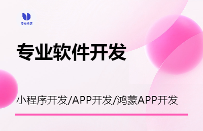 OA-ERP-小程序-APP-软件开发