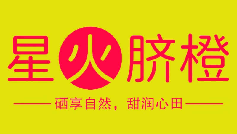 品牌全案策劃 內(nèi)容營銷 品牌策略 企業(yè)取名 文案策劃