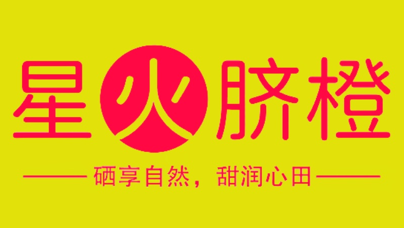 <hl>品牌</hl>全案策划 内容营销 <hl>品牌</hl><hl>策略</hl> 企业取名 文案策划