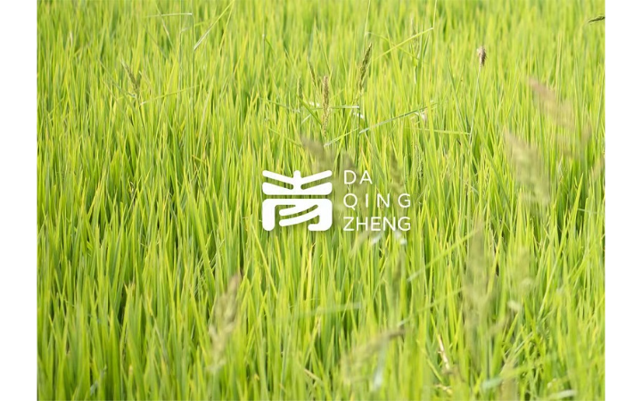 至簡(jiǎn)品牌設(shè)計(jì)-10年實(shí)體公司