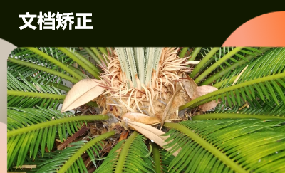 文字編輯、排版、整理、審核