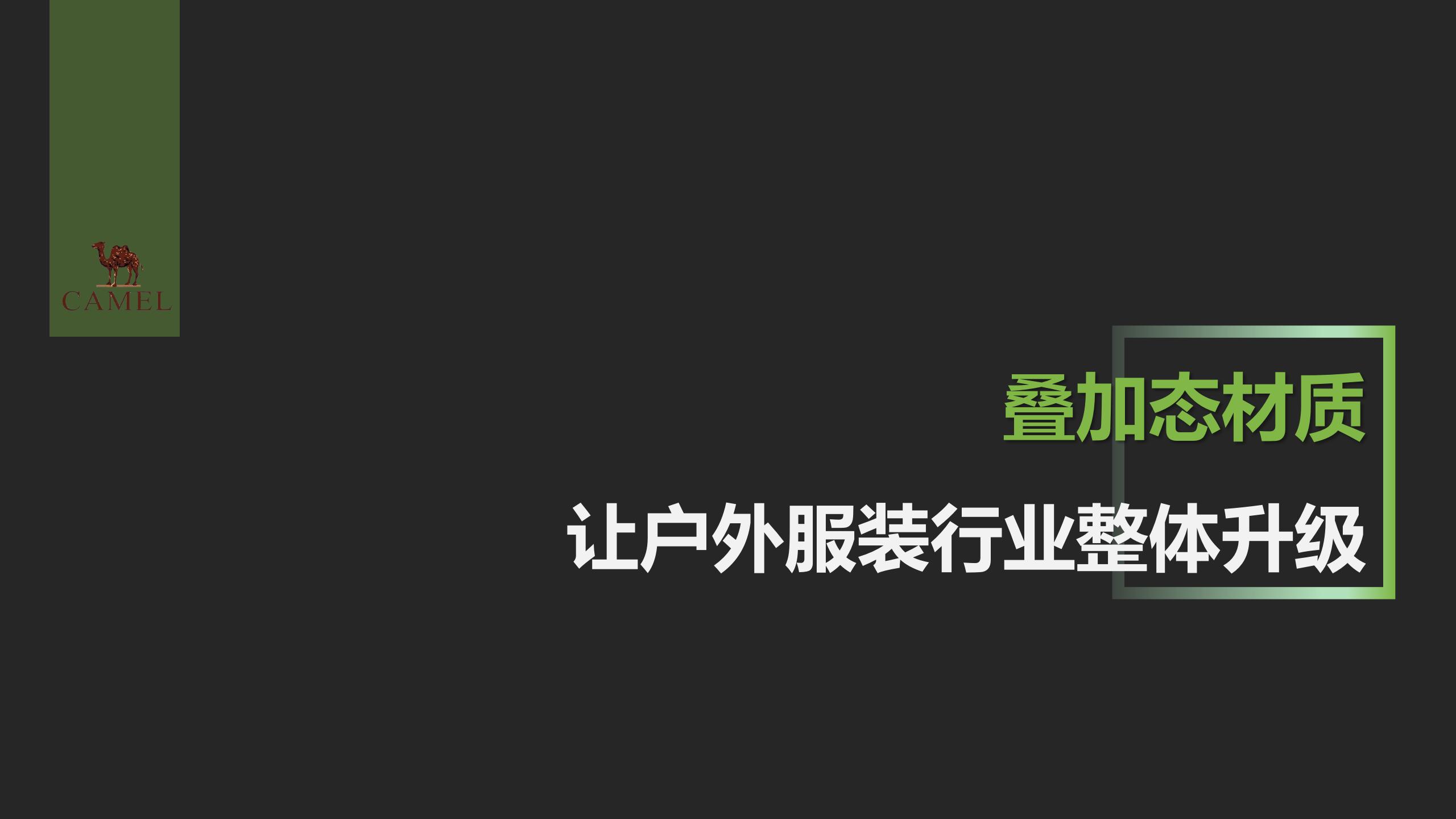 骆驼服装服饰品牌全案策划新品类定位策划营销战略企划方案