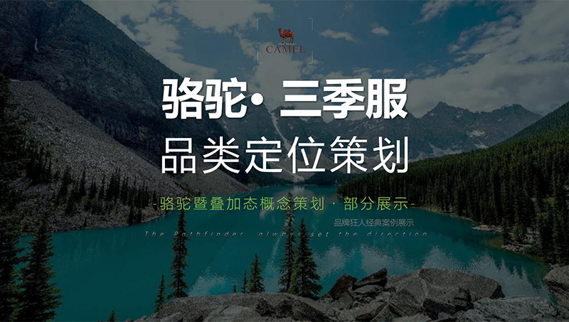 駱駝服裝服飾品牌全案策劃新品類定位策劃營銷戰(zhàn)略企劃方案