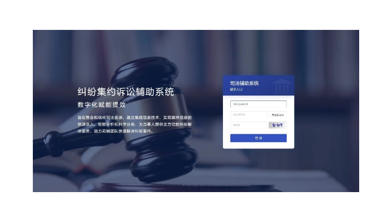 纠纷集约诉讼系统