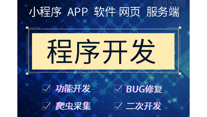 开发手机端，电脑端，服务器端，软件，网页，小程序等