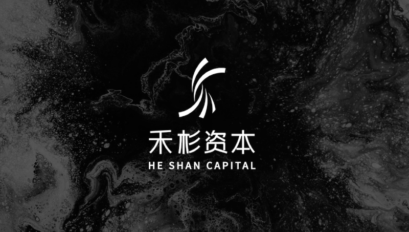 森渡設(shè)計｜禾杉資本企業(yè)LOGO設(shè)計vi設(shè)計金融地產(chǎn)
