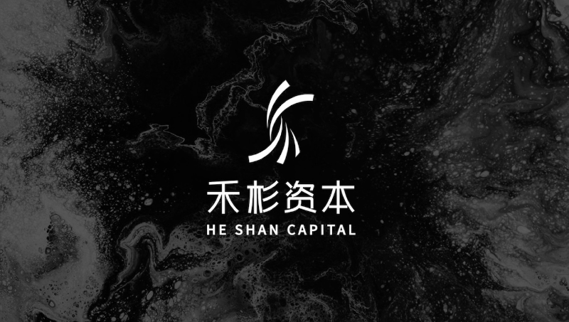 森渡设计｜禾杉资本企业LOGO设计vi设计金融地产