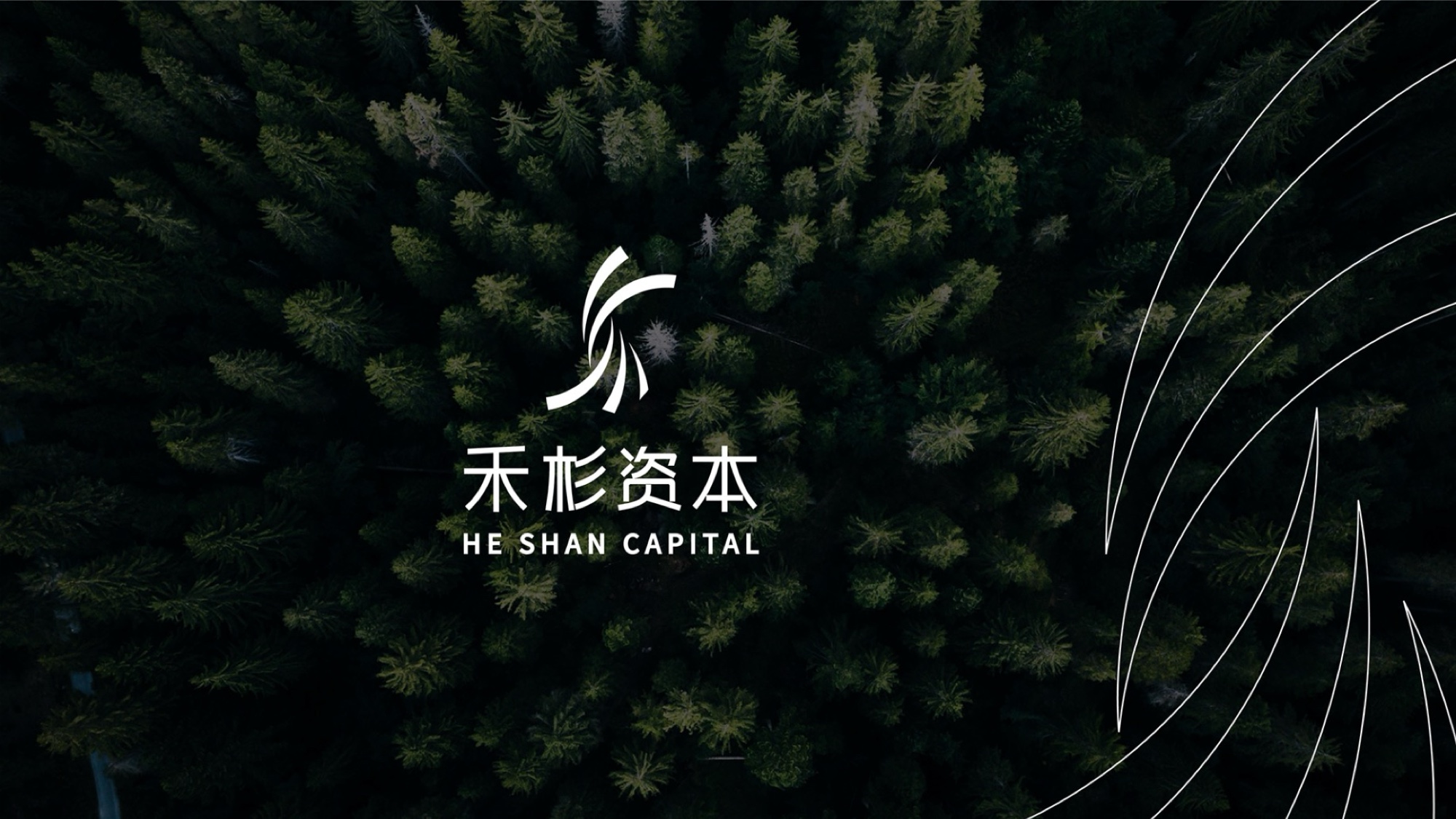 森渡品牌全案設(shè)計(jì)