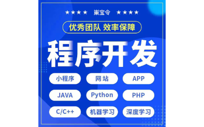 软件开发定制java网页制作设计前端服务器