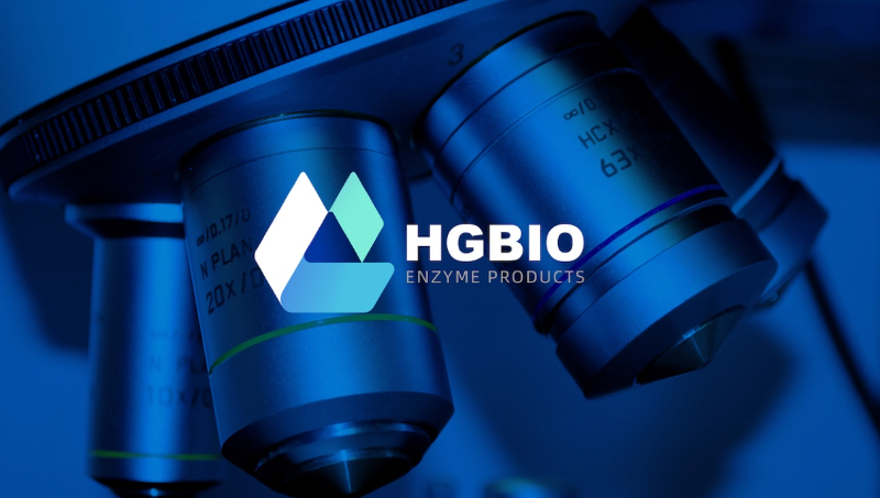 森渡設(shè)計(jì)|兆維科技品牌LOGO設(shè)計(jì)VI科技行業(yè)企業(yè)設(shè)計(jì)