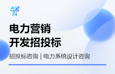 电力营销系统软件开发项目咨询