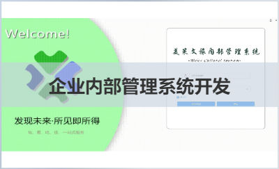 经营管理软件开发 / 协同办公软件开发