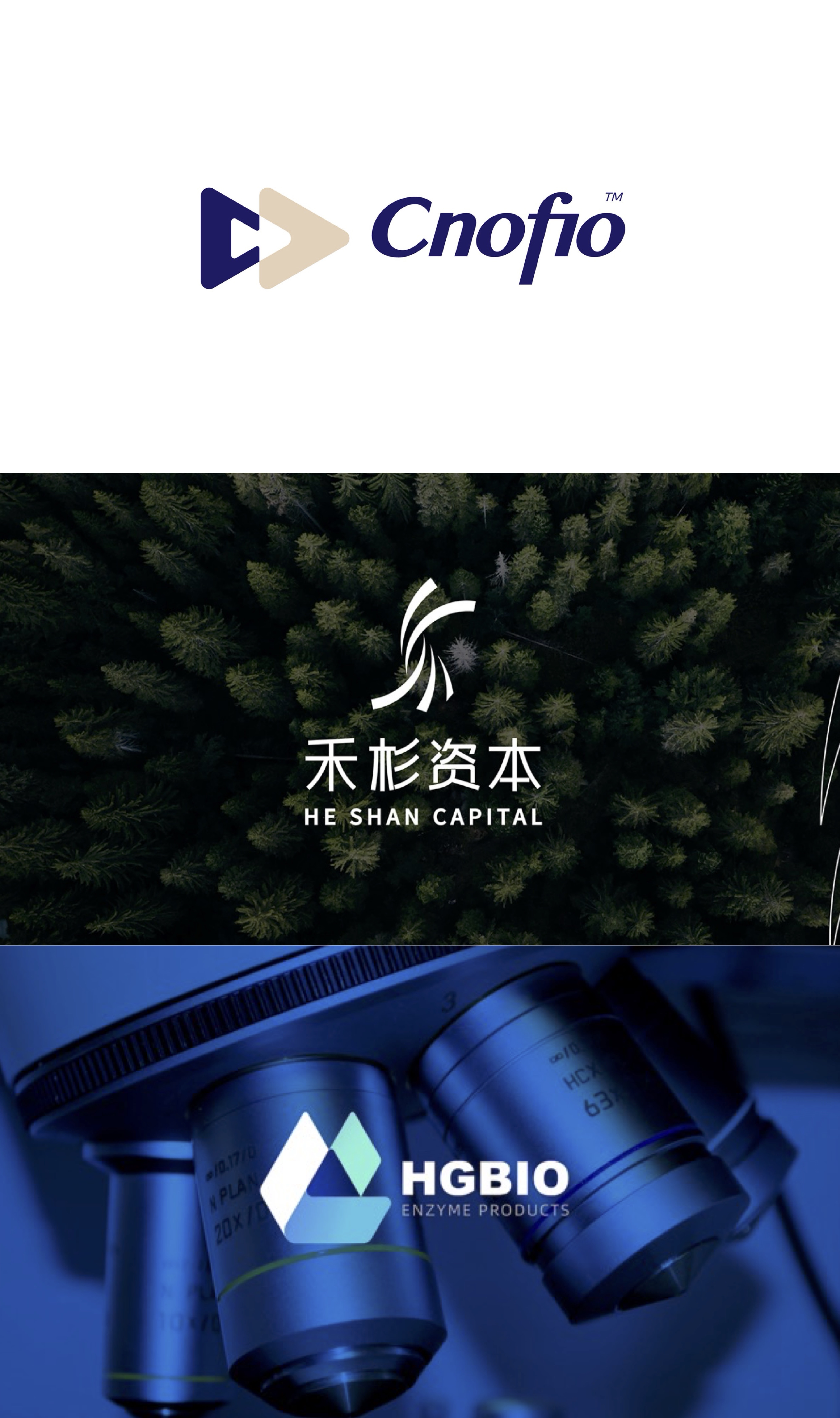 森渡品牌全案设计