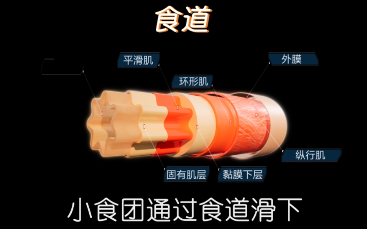 無際鑫禾