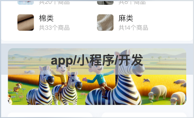 app/小程序/網(wǎng)頁 開發(fā)