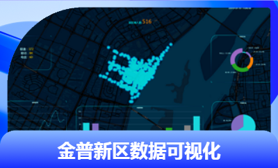 金普新區(qū)數(shù)據(jù)可視化分析平臺