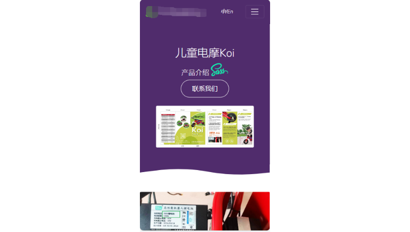某某電摩首頁公司官網(wǎng)